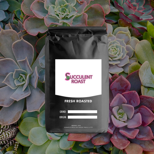 Succulent's Cold Brew Coffee