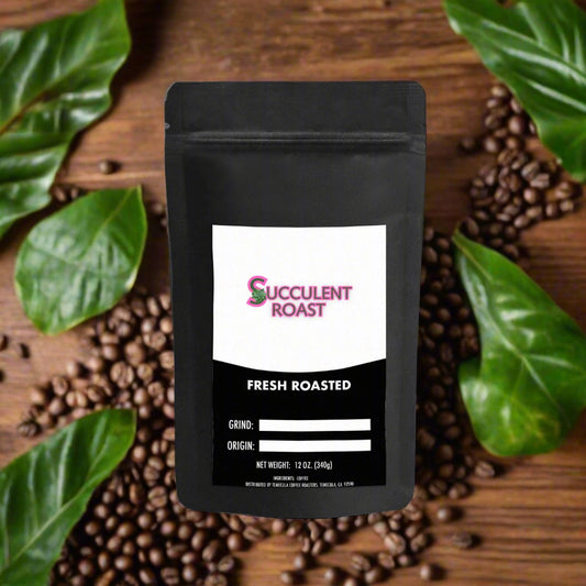 Succulent House Blend